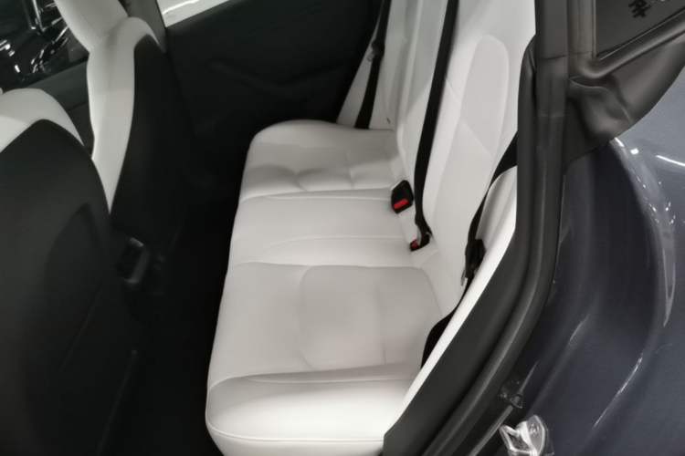 Used Tesla Model 3 2021 Standard Range Rear-Wheel Drive Upgraded Version 3D6 Left Rear Seat