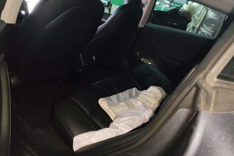 Used Tesla Model 3 2021 Performance High-Performance All-Wheel-Drive Version Left Rear Seat