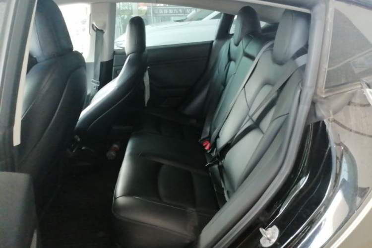 Used Tesla Model 3 2021 Performance High-Performance All-Wheel-Drive Version 3D6 Left Rear Seat
