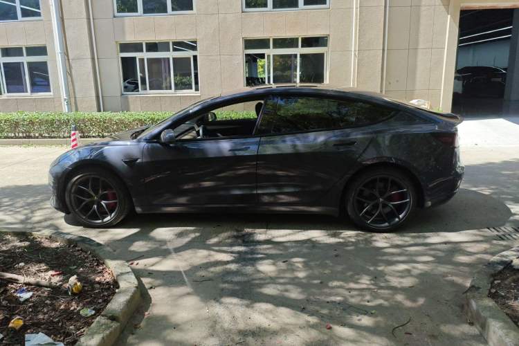 Used Tesla Model 3 2021 Revised Performance Version with All-Wheel Drive 3D1 Left Side