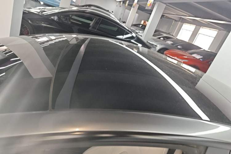 Used Tesla Model 3 2021 Performance High-Performance All-Wheel-Drive Version Roof