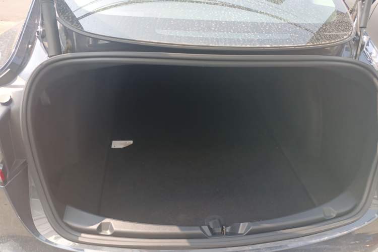 Used Tesla Model 3 2021 Performance High-Performance All-Wheel-Drive Version Trunk