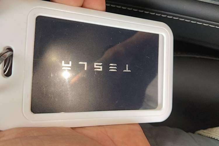 Used Tesla Model 3 2021 Standard Range Rear-Drive Upgraded Version Vehicle Key