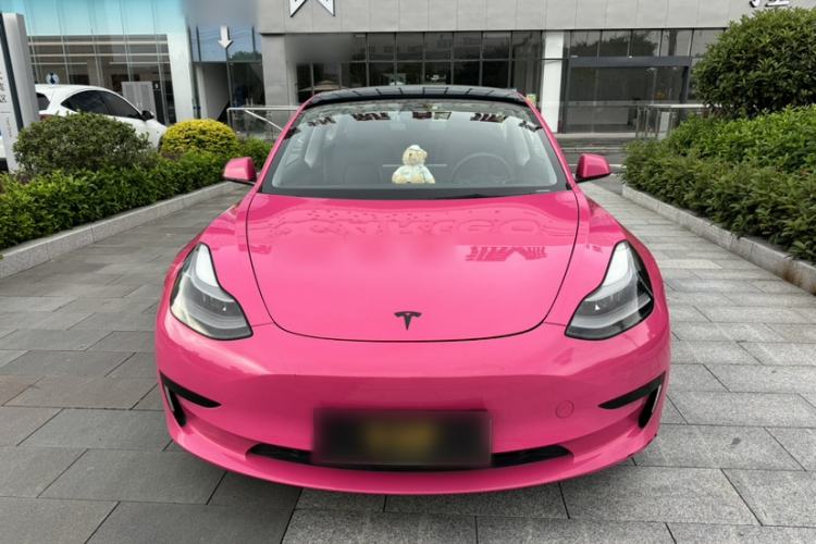 Used Tesla Model 3 2021 Standard Range Rear-Drive Upgraded Version Exterior 1