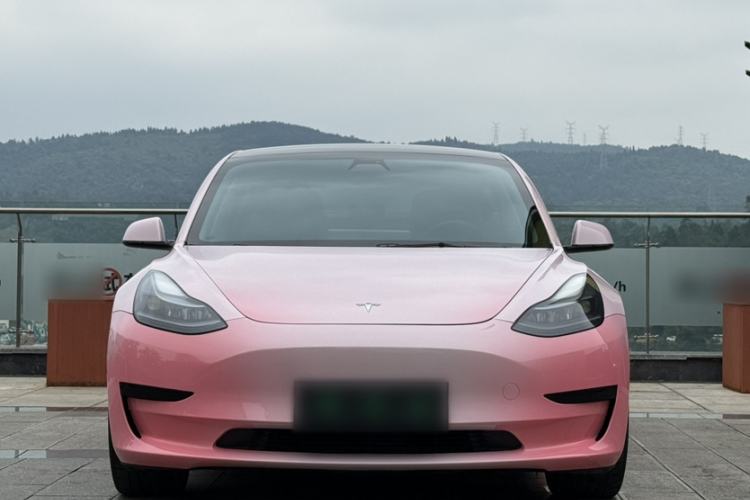 Used Tesla Model 3 2021 Revised Version Standard Range Rear-Wheel Drive Upgraded Edition 3D1 Exterior 11