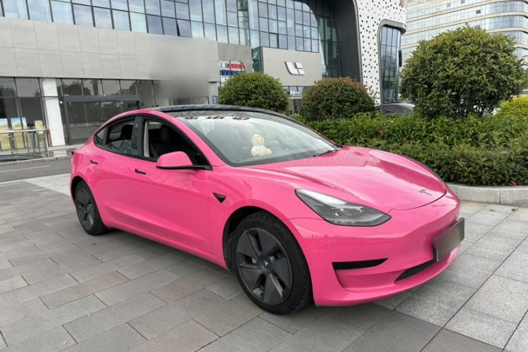 Used Tesla Model 3 2021 Standard Range Rear-Drive Upgraded Version Exterior 2