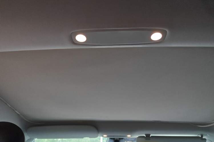 Used Tesla Model 3 2021 Revised Version Standard Range Rear-Wheel Drive Upgraded Edition 3D1 Headliner
