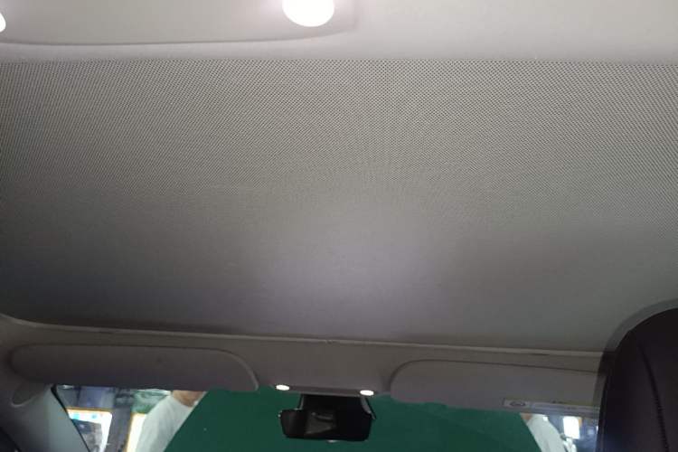 Used Tesla Model 3 2021 Standard Range Rear-Wheel Drive Upgraded Version 3D6 Headliner