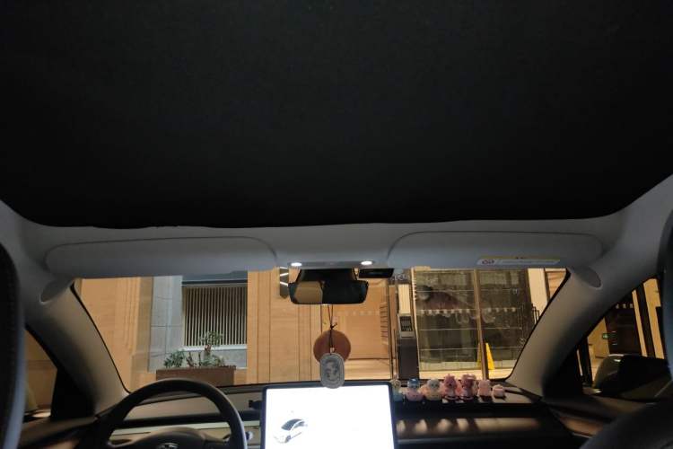 Used Tesla Model 3 2021 Standard Range Rear-Drive Upgraded Version Headliner