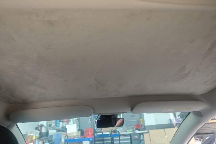 Used Tesla Model 3 2021 Revised Version II – Performance High-Performance All-Wheel-Drive Edition Headliner