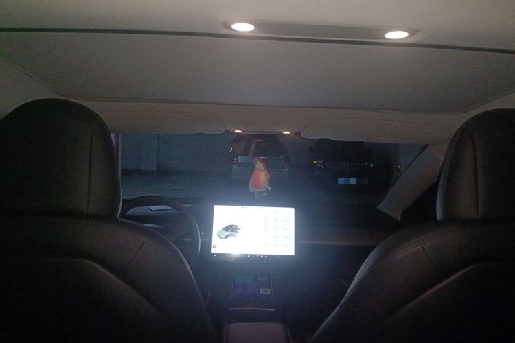 Used Tesla Model 3 2021 Standard Range Rear-Wheel Drive Upgraded Version 3D6 Headliner