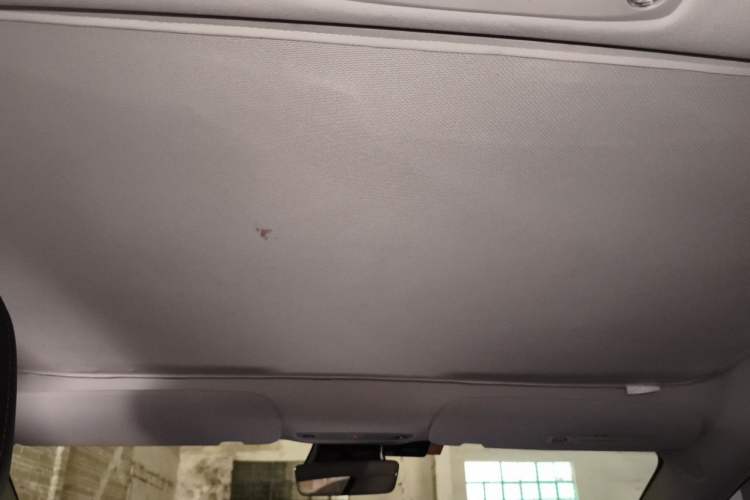Used Tesla Model 3 2021 Performance High-Performance All-Wheel-Drive Version 3D6 Headliner