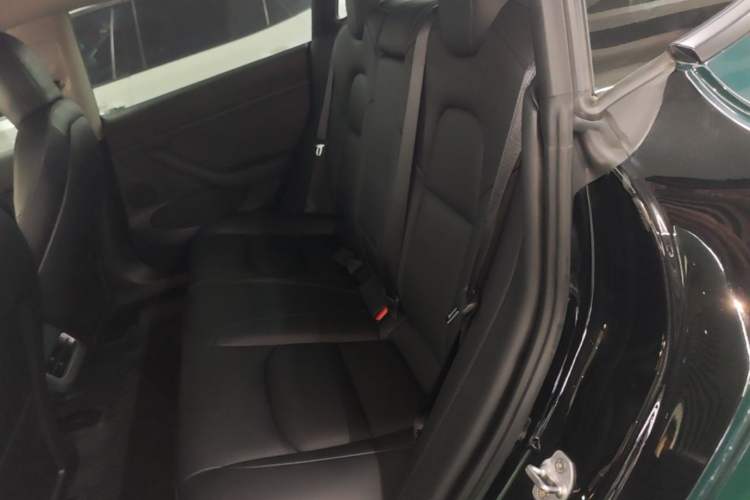 Used Tesla Model 3 2021 Standard Range Rear-Wheel Drive Upgraded Version 3D6 Left Rear Seat