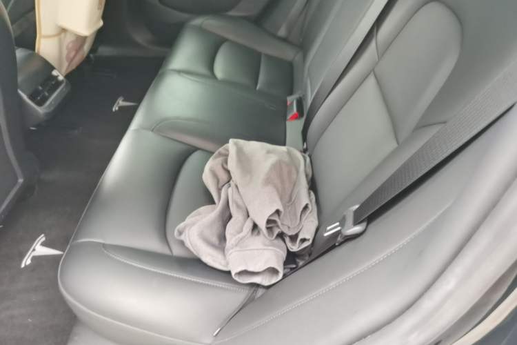 Used Tesla Model 3 2021 Standard Range Rear-Drive Upgraded Version Left Rear Seat