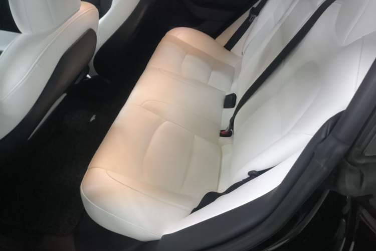 Used Tesla Model 3 2021 Performance High-Performance All-Wheel-Drive Version Left Rear Seat