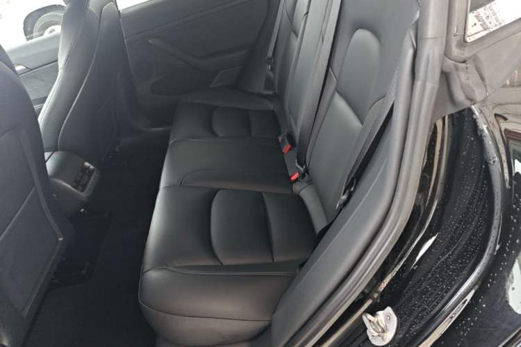Used Tesla Model 3 2021 Performance High-Performance All-Wheel-Drive Version Left Rear Seat