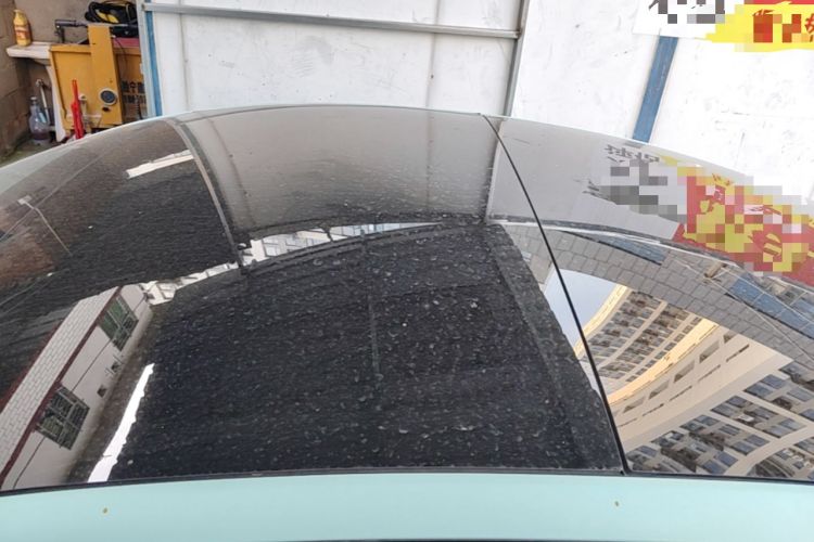 Used Tesla Model 3 2021 Standard Range Rear-Wheel Drive Upgraded Version 3D6 Roof