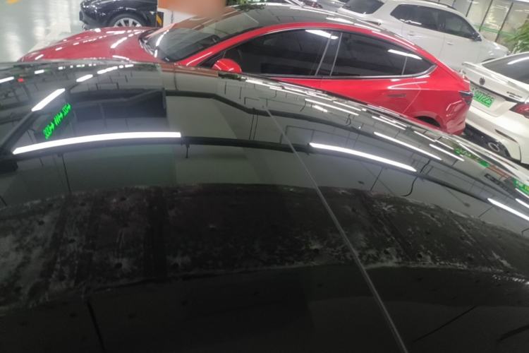 Used Tesla Model 3 2021 Performance High-Performance All-Wheel-Drive Version Roof