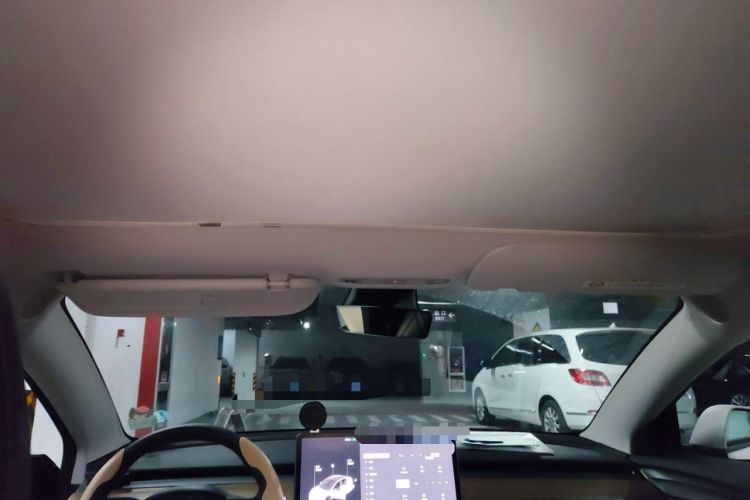 Used Tesla Model 3 2021 Standard Range Rear-Drive Upgraded Version Headliner
