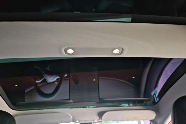Used Tesla Model 3 2021 Standard Range Rear-Drive Upgraded Version Headliner