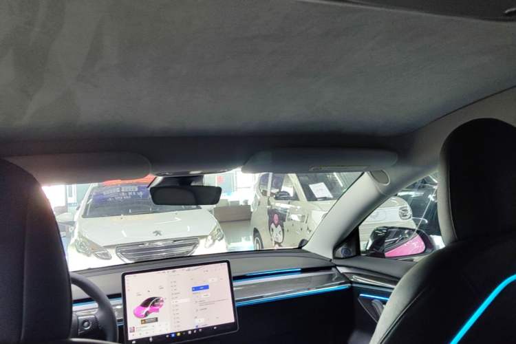 Used Tesla Model 3 2021 Standard Range Rear-Drive Upgraded Version Headliner