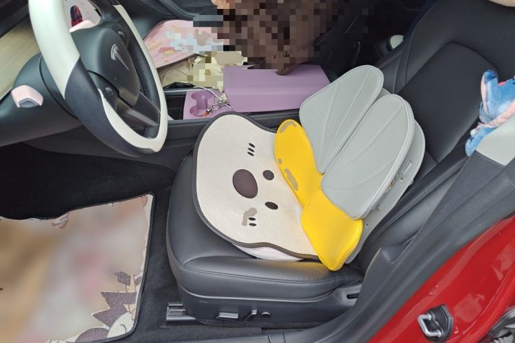 Used Tesla Model 3 2021 Performance High-Performance All-Wheel-Drive Version Left Front Seat