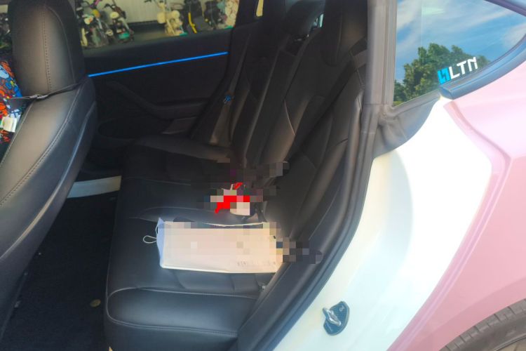 Used Tesla Model 3 2021 Revised Version Standard Range Rear-Wheel Drive Upgraded Edition 3D1 Left Rear Seat