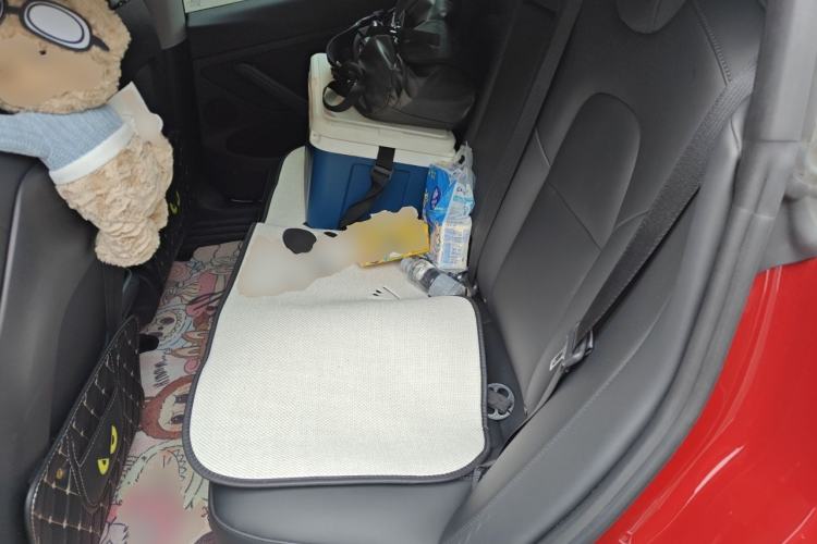 Used Tesla Model 3 2021 Performance High-Performance All-Wheel-Drive Version Left Rear Seat