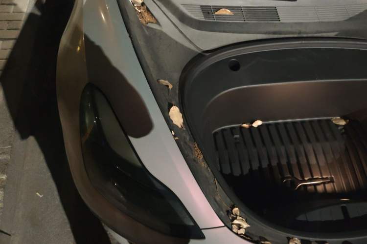 Used Tesla Model 3 2021 Standard Range Rear-Wheel Drive Upgraded Version 3D6 Engine Bay Right