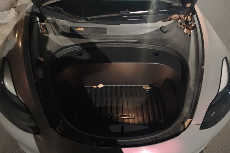 Used Tesla Model 3 2021 Standard Range Rear-Wheel Drive Upgraded Version 3D6 Engine Bay