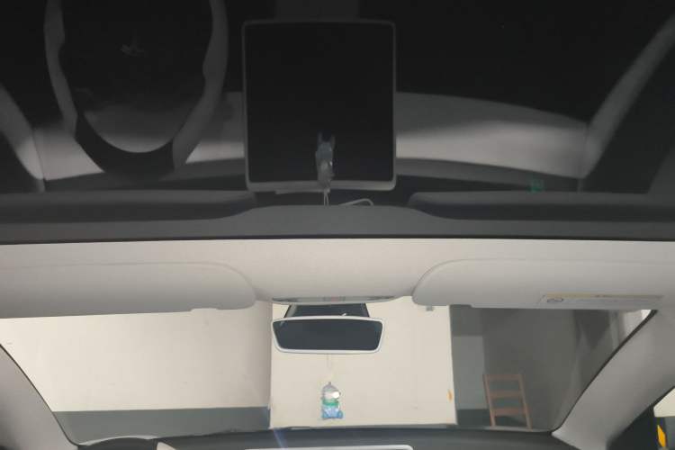 Used Tesla Model 3 2021 Standard Range Rear-Wheel Drive Upgraded Version 3D6 Headliner