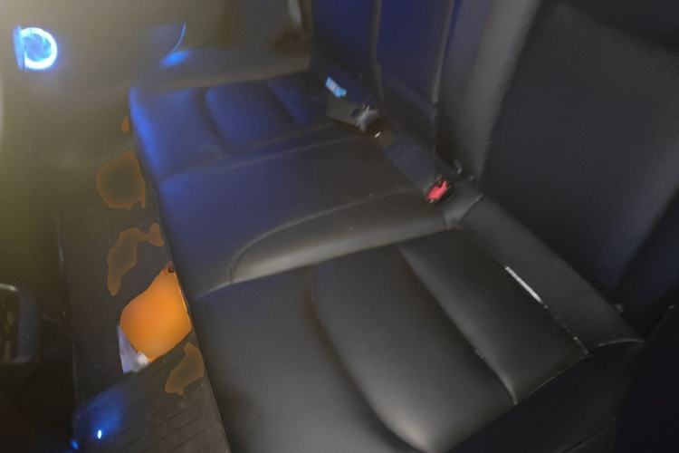Used Tesla Model 3 2021 Revised Performance Version with All-Wheel Drive 3D1 Left Rear Seat