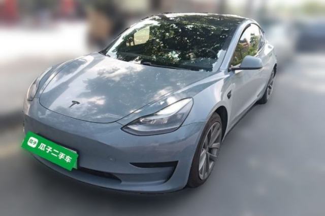 Tesla Model 3 2021 Standard Range Rear-Drive Upgraded Version usado