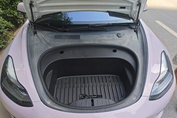 Used Tesla Model 3 2021 Standard Range Rear-Wheel Drive Upgraded Version 3D6 Engine Bay