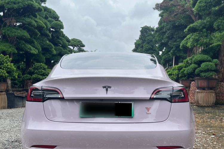 Used Tesla Model 3 2021 Standard Range Rear-Drive Upgraded Version Exterior 3