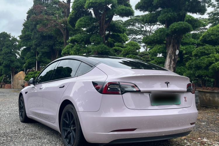 Used Tesla Model 3 2021 Standard Range Rear-Drive Upgraded Version Exterior 5