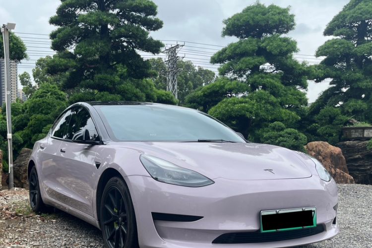 Used Tesla Model 3 2021 Standard Range Rear-Drive Upgraded Version Exterior 6