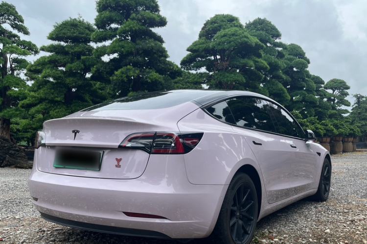 Used Tesla Model 3 2021 Standard Range Rear-Drive Upgraded Version Exterior 7