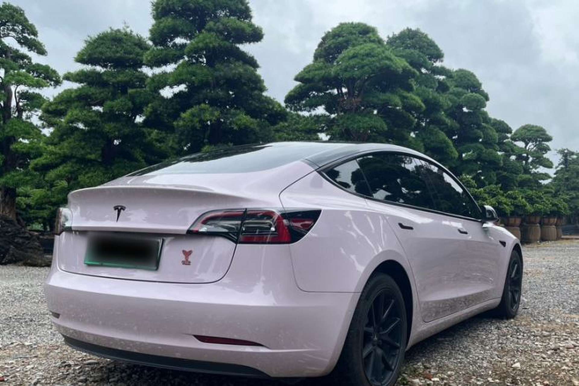 Used Tesla Model 3 2021 Standard Range Rear-Drive Upgraded Version Exterior 7