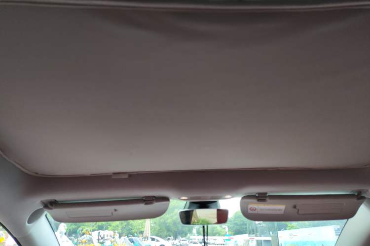 Used Tesla Model 3 2021 Standard Range Rear-Wheel Drive Upgraded Version 3D6 Headliner
