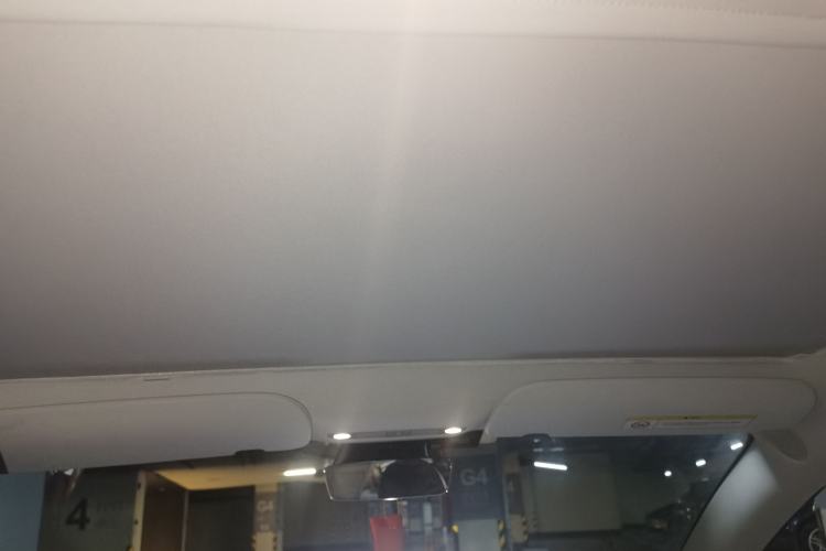 Used Tesla Model 3 2021 Standard Range Rear-Wheel Drive Upgraded Version 3D6 Headliner