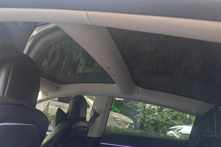 Used Tesla Model 3 2021 Standard Range Rear-Wheel Drive Upgraded Version 3D6 Headliner