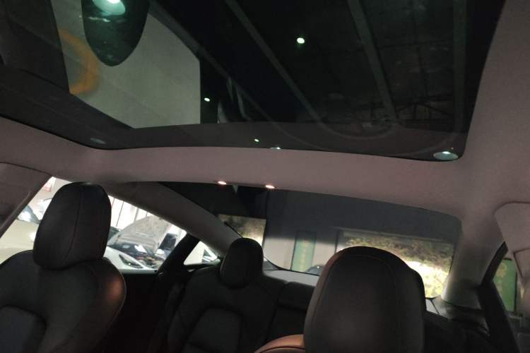 Used Tesla Model 3 2021 Standard Range Rear-Wheel Drive Upgraded Version 3D6 Headliner