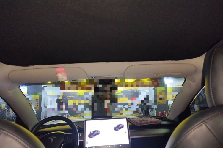 Used Tesla Model 3 2021 Standard Range Rear-Wheel Drive Upgraded Version 3D6 Headliner
