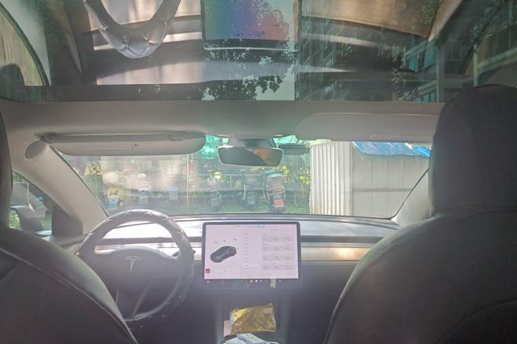 Used Tesla Model 3 2021 Standard Range Rear-Drive Upgraded Version Headliner