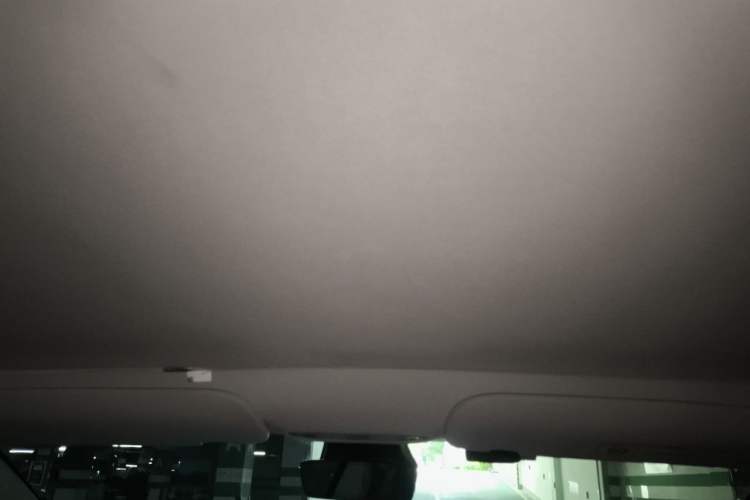 Used Tesla Model 3 2021 Standard Range Rear-Wheel Drive Upgraded Version 3D6 Headliner