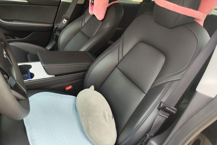 Used Tesla Model 3 2021 Standard Range Rear-Drive Upgraded Version Left Front Seat