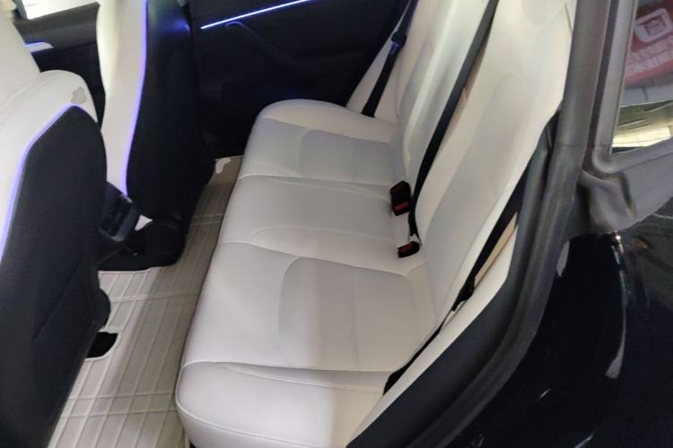 Used Tesla Model 3 2021 Standard Range Rear-Drive Upgraded Version Left Rear Seat