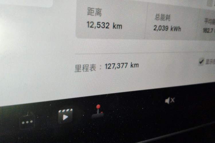 Used Tesla Model 3 2021 Performance High-Performance All-Wheel-Drive Version Odometer Close Up