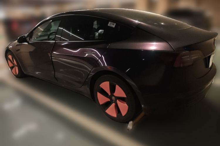 Used Tesla Model 3 2021 Standard Range Rear-Wheel Drive Upgraded Version 3D6 Rear Left 45 Deg